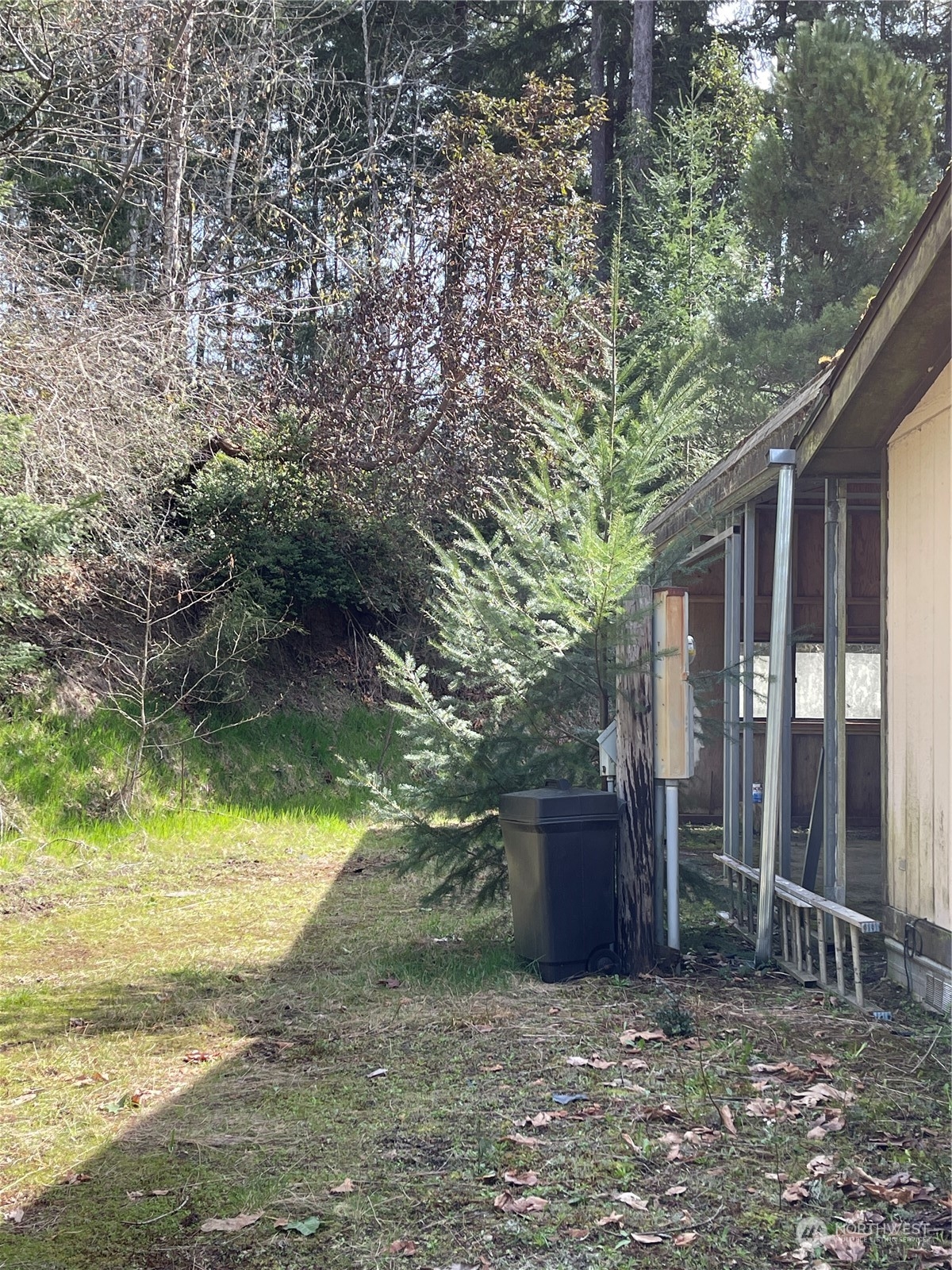 1630 East Rasor Road Belfair, WA 98528 - Photo 17 of 40 Gallery Image 17