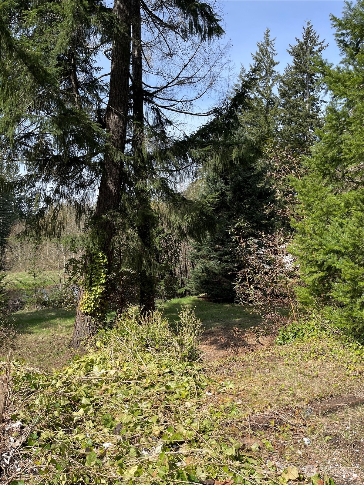 1630 East Rasor Road Belfair, WA 98528 - Photo 20 of 40 Gallery Image 20