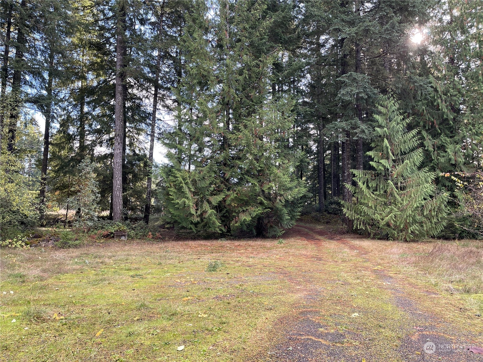 1630 East Rasor Road Belfair, WA 98528 - Photo 6 of 40 Gallery Image 6