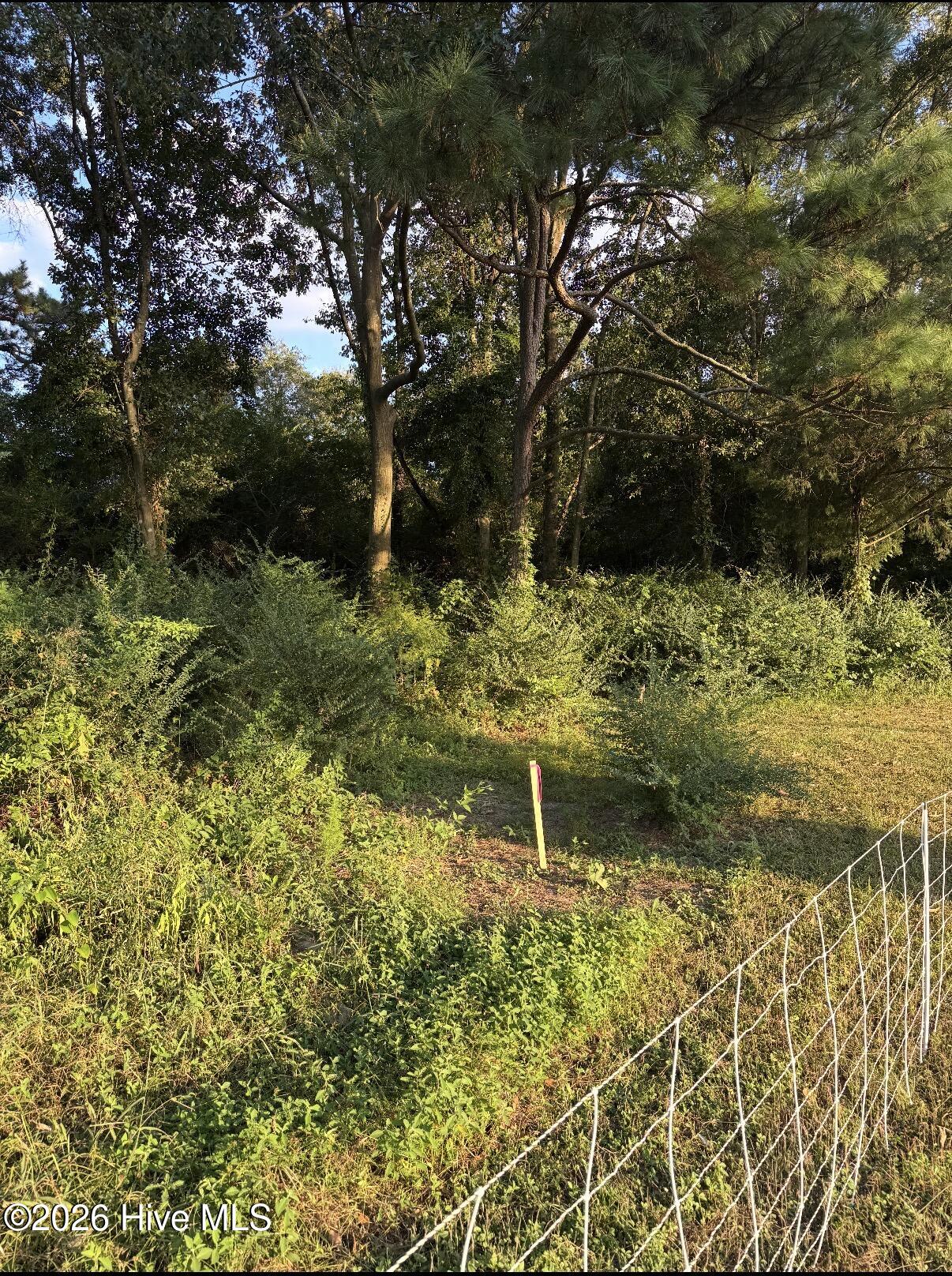 Tbd Firehouse Road Chinquapin, NC 28521 - Photo 3 of 4 IMG_1464