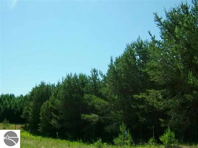 8689 Summit City Road Kingsley, MI 49649 - Photo 13 of 15 1748023-12.JPG
