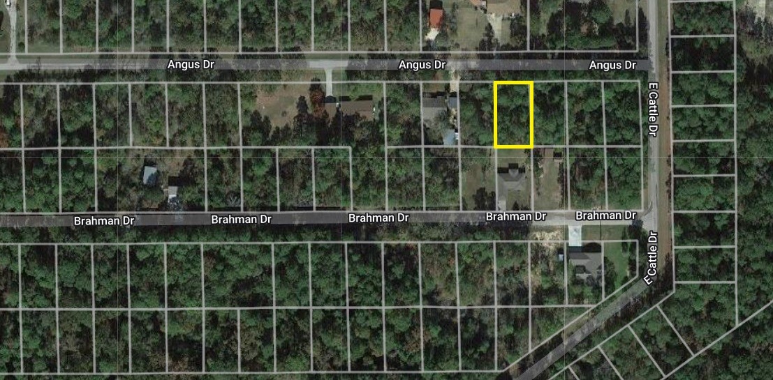 Tbd Angus Drive Onalaska, TX 77360 - Photo 6 of 6 a view of a fence and a window