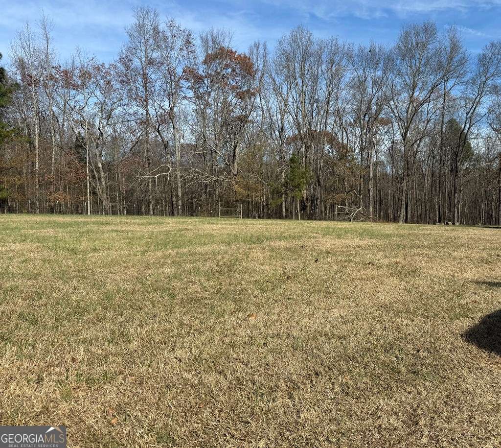 144 Duck Pond Road Roopville, GA 30170 - Photo 6 of 7