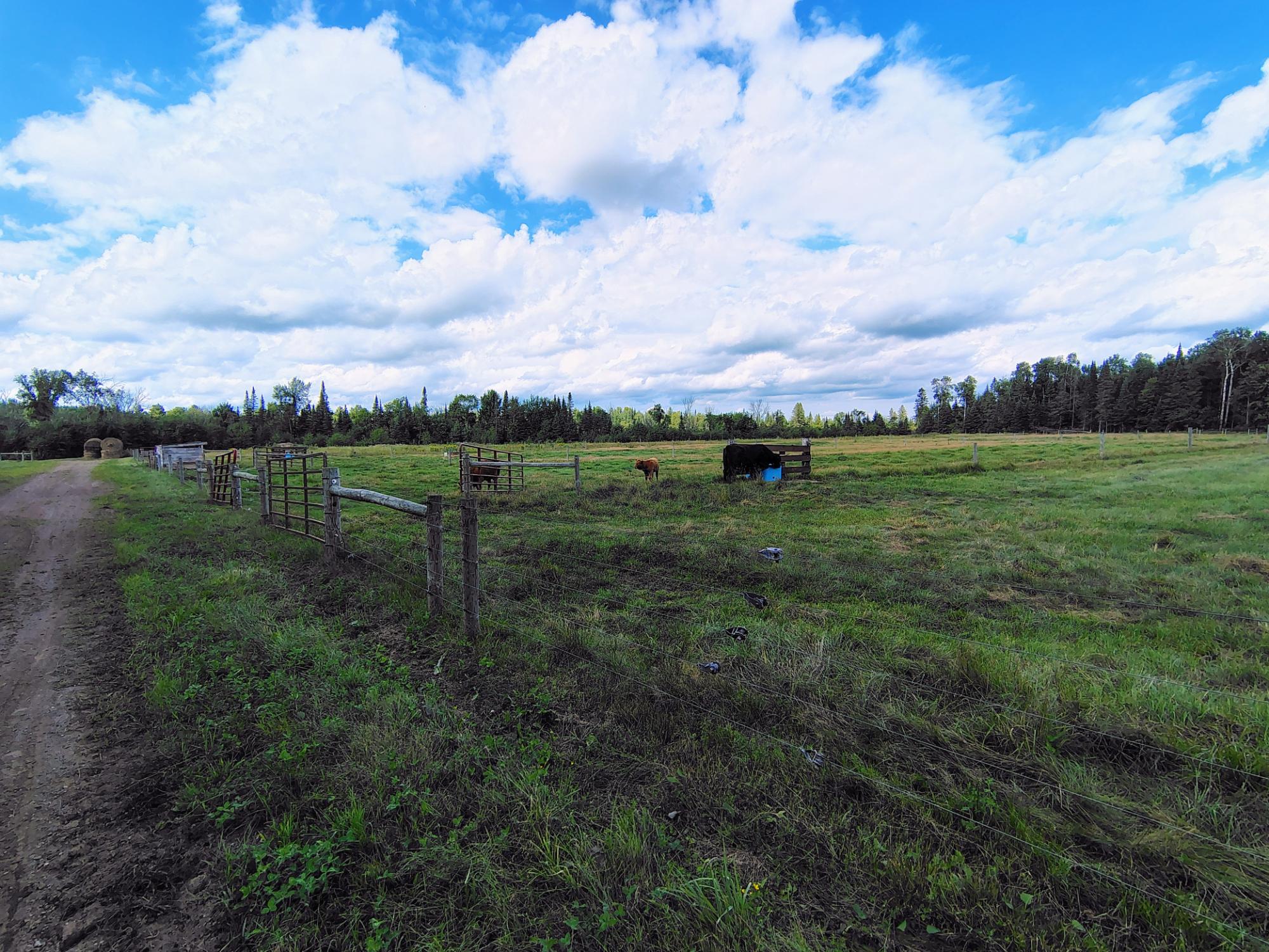 77374 Nagel Road Glidden, WI 54527 - Photo 53 of 53