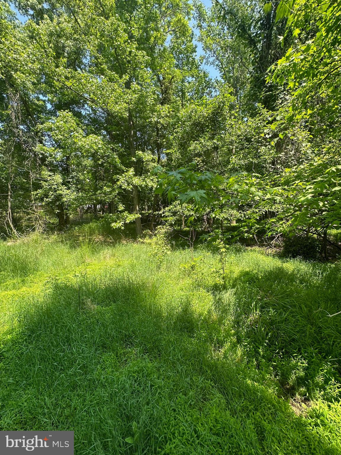 Indian Queen Point Road Fort Washington, MD 20744 - Photo 11 of 11 Gallery Image 11