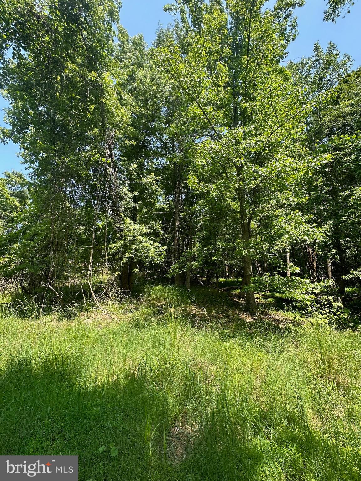 Indian Queen Point Road Fort Washington, MD 20744 - Photo 10 of 11 Gallery Image 10