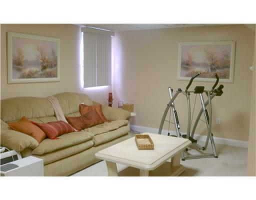 Living Room. finished walkout basement.