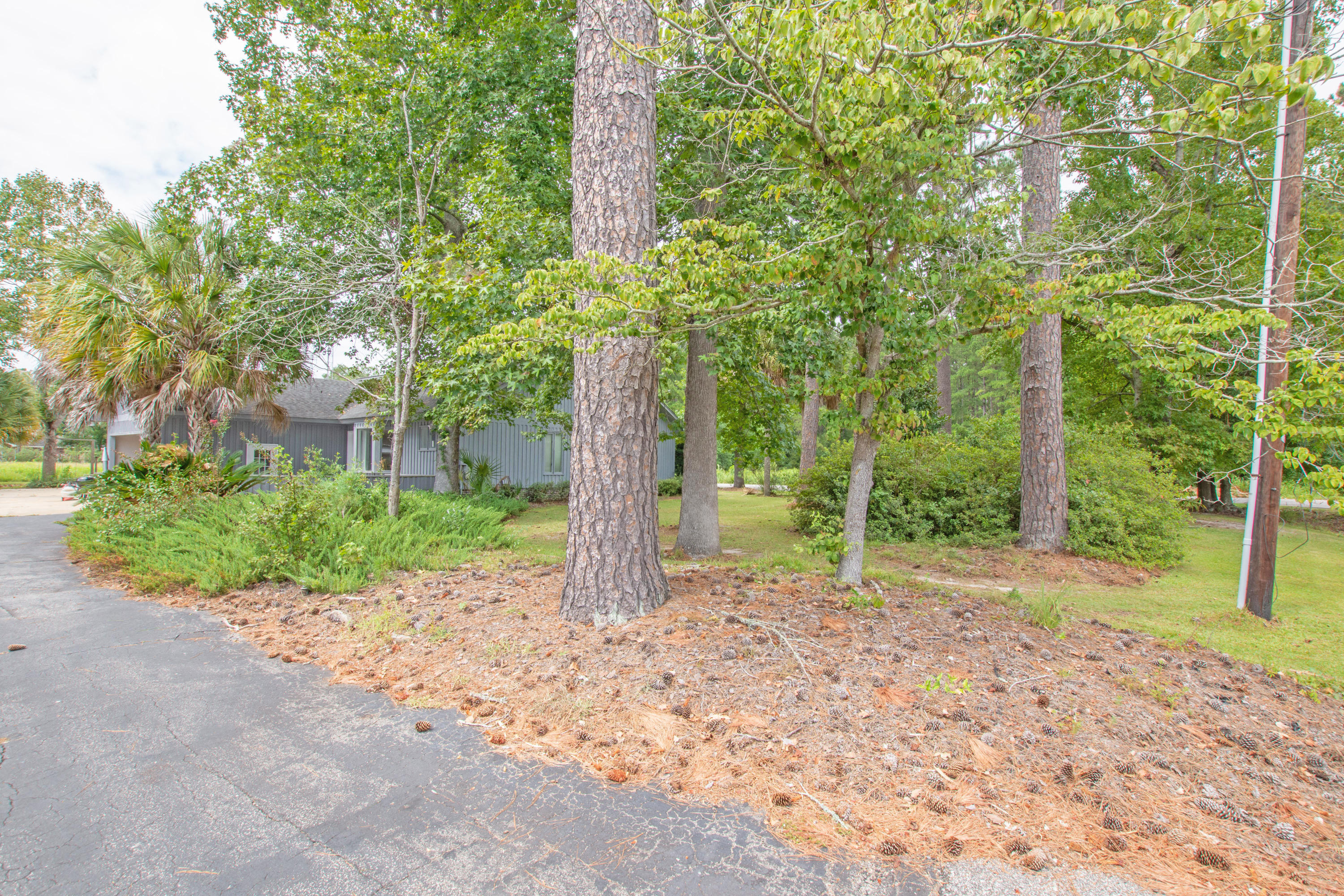204 Berry Street St. George, SC 29477 - Photo 44 of 48 204 Berry 1-49