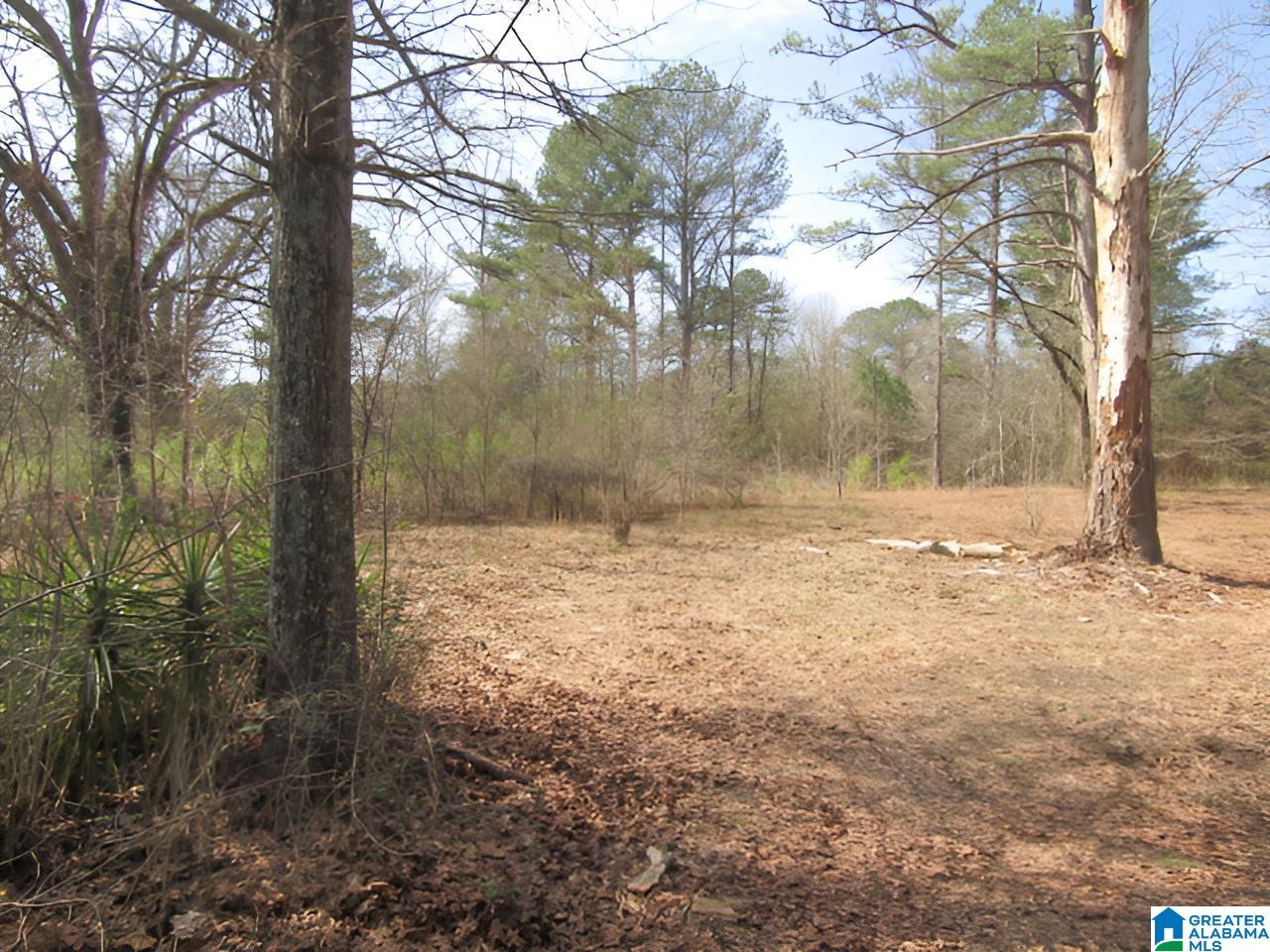 4429 Roy Webb Road Jacksonville, AL 36265 - Photo 13 of 26