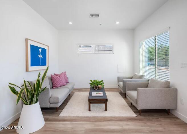 a living room with furniture and a potted plant