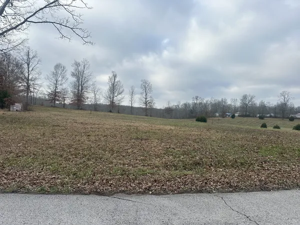 a view of a field with an trees