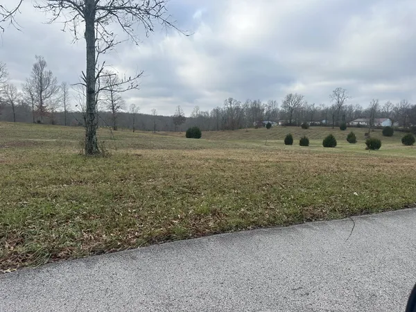 a view of a field with trees