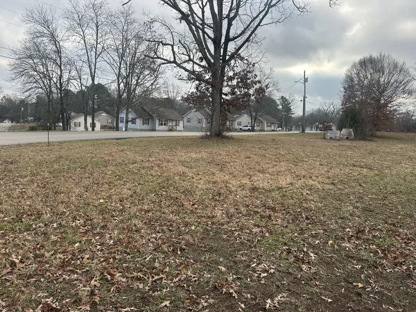 a view of a field with trees in the background