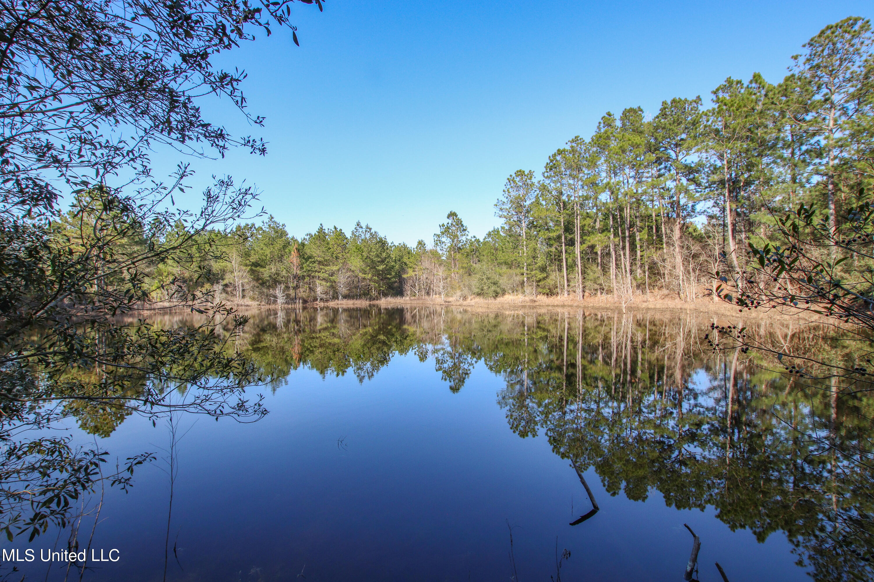 Hinton Road Lucedale, MS 39452 - Photo 1 of 38 pond