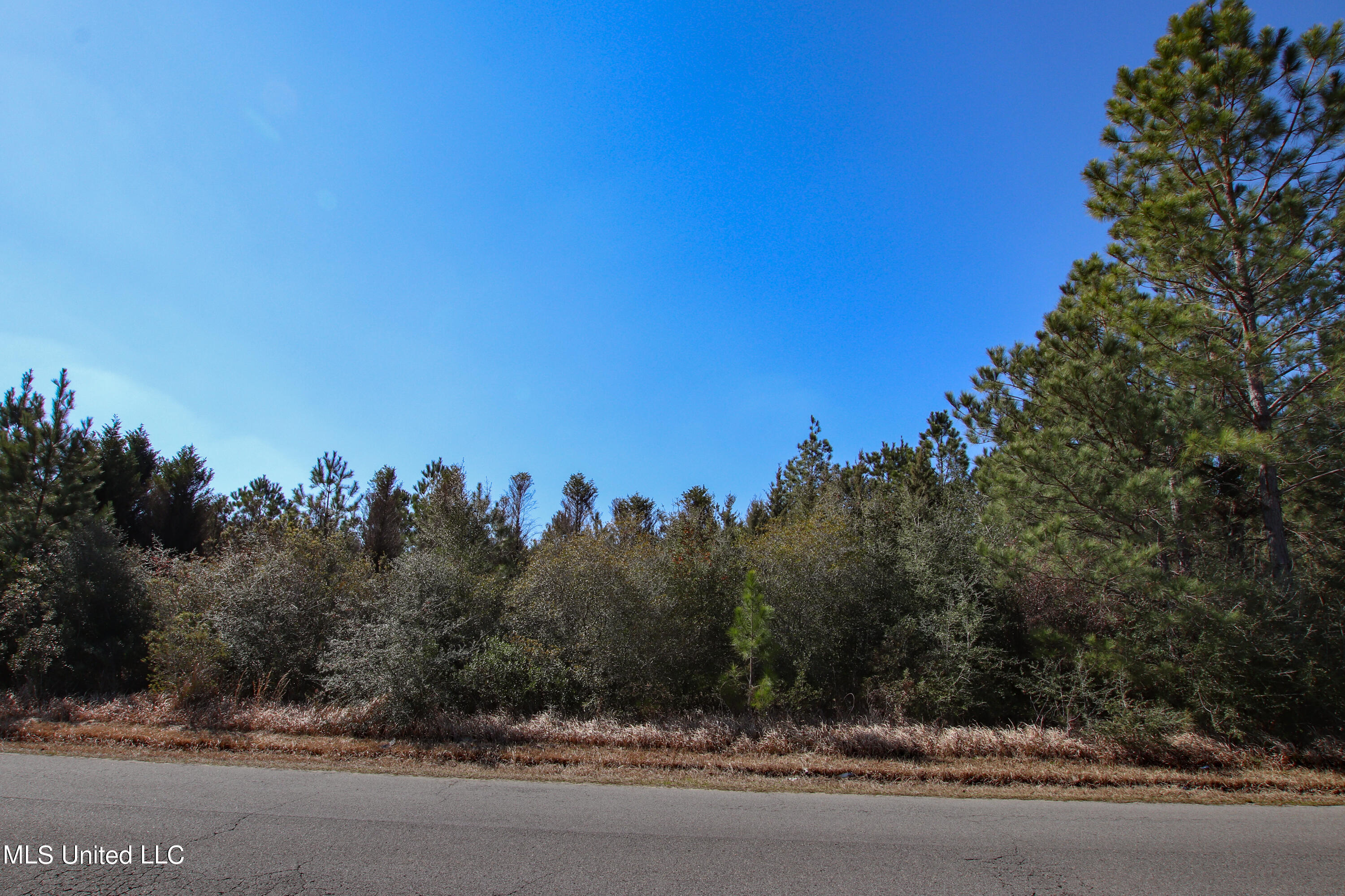 Hinton Road Lucedale, MS 39452 - Photo 3 of 38 Hinton Rd (2)