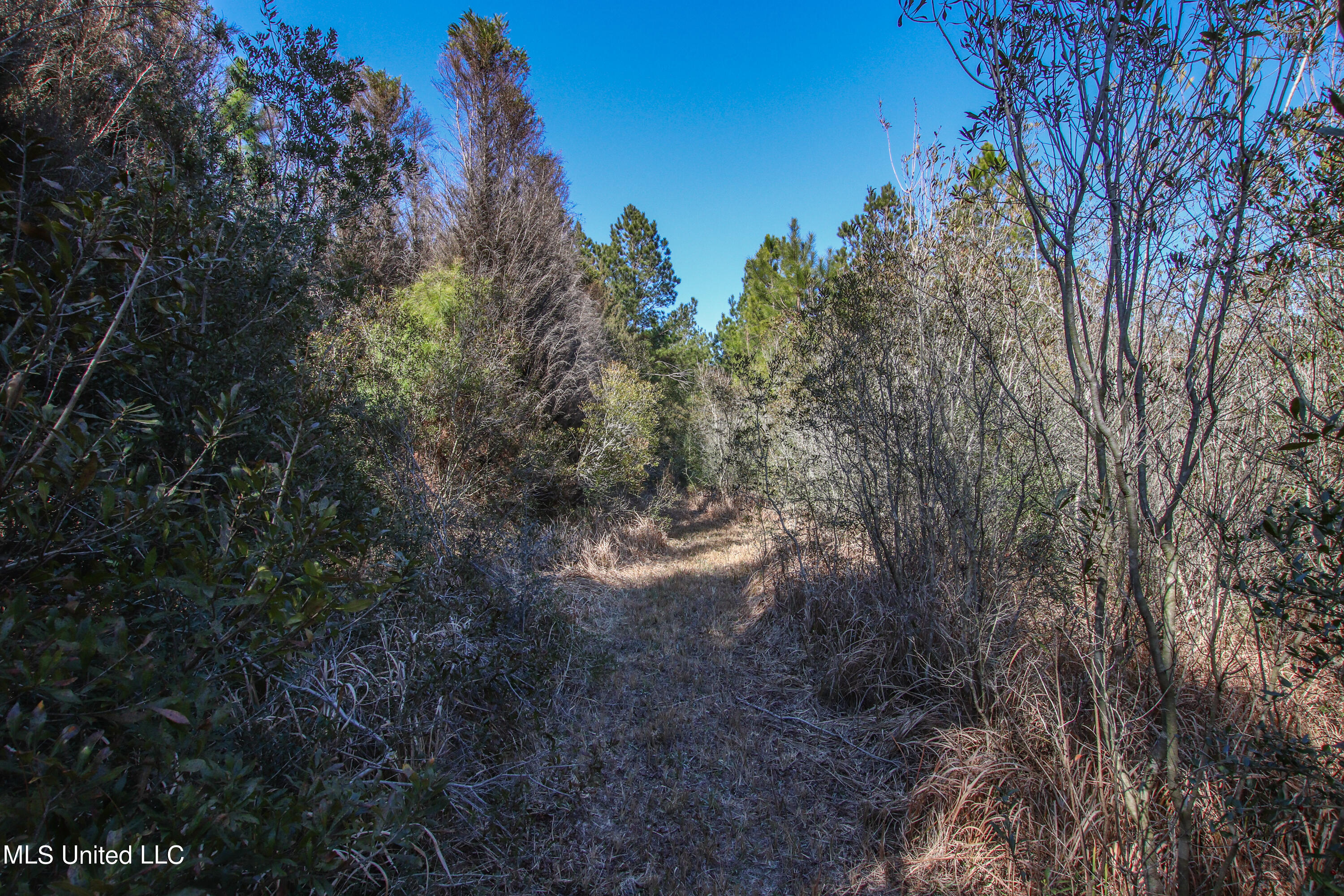 Hinton Road Lucedale, MS 39452 - Photo 6 of 38 Hinton Rd (6)