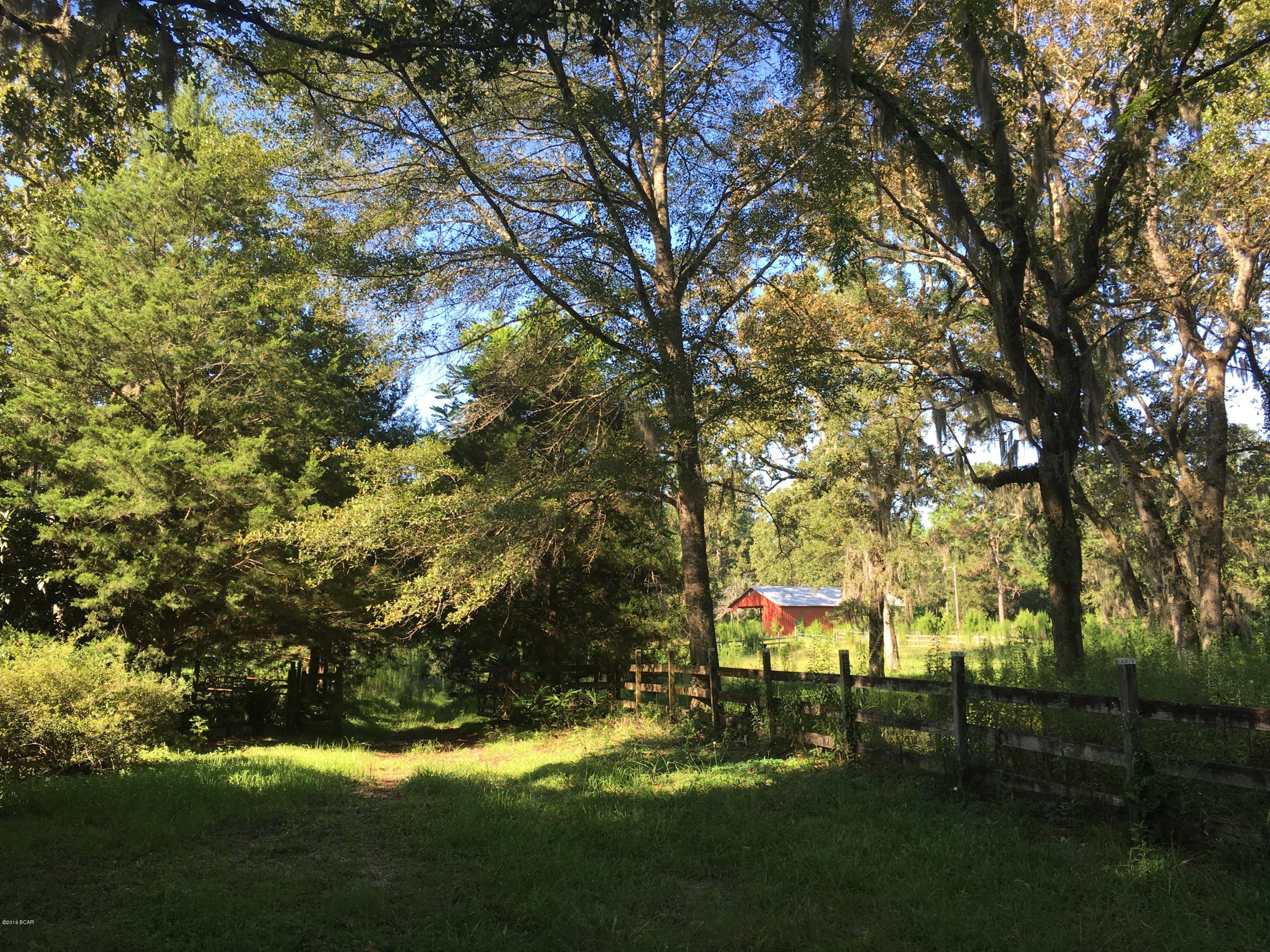 5819 Reddoch Road Marianna, FL 32446 - Photo 24 of 37 Gallery Image 24