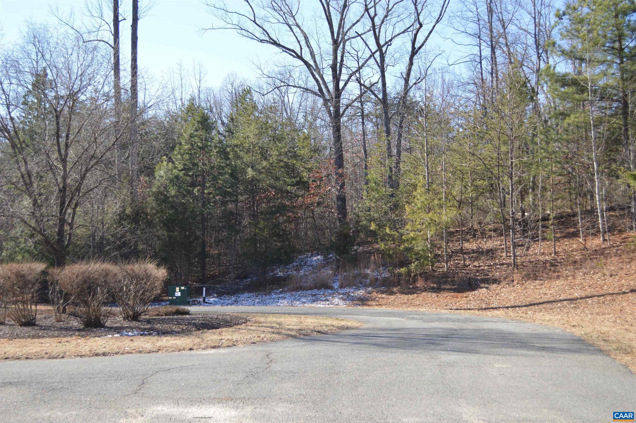 Frays Ridge, Unit 37 Earlysville, VA 22936 - Photo 2 of 18