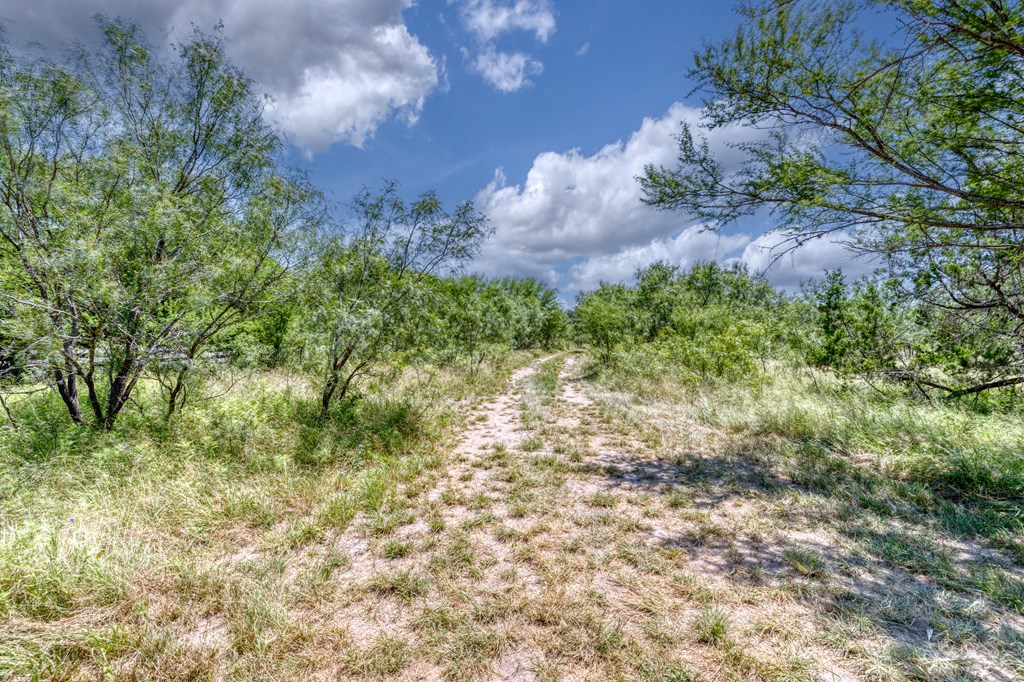 3598 Ranch Road 1120 Rio Frio, TX 78879 - Photo 3 of 27