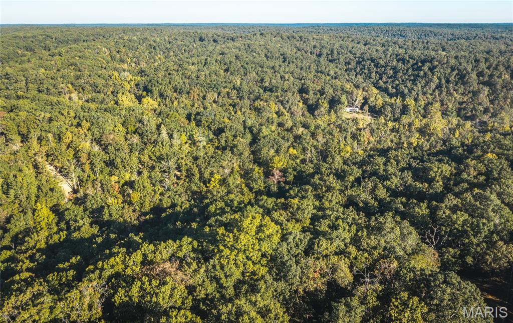 10206 Slice Road Sullivan, MO 63080 - Photo 60 of 66 Gallery Image 60