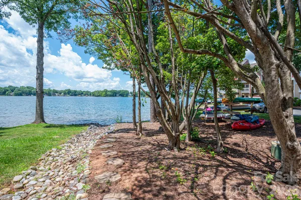 a view of a backyard with large tree
