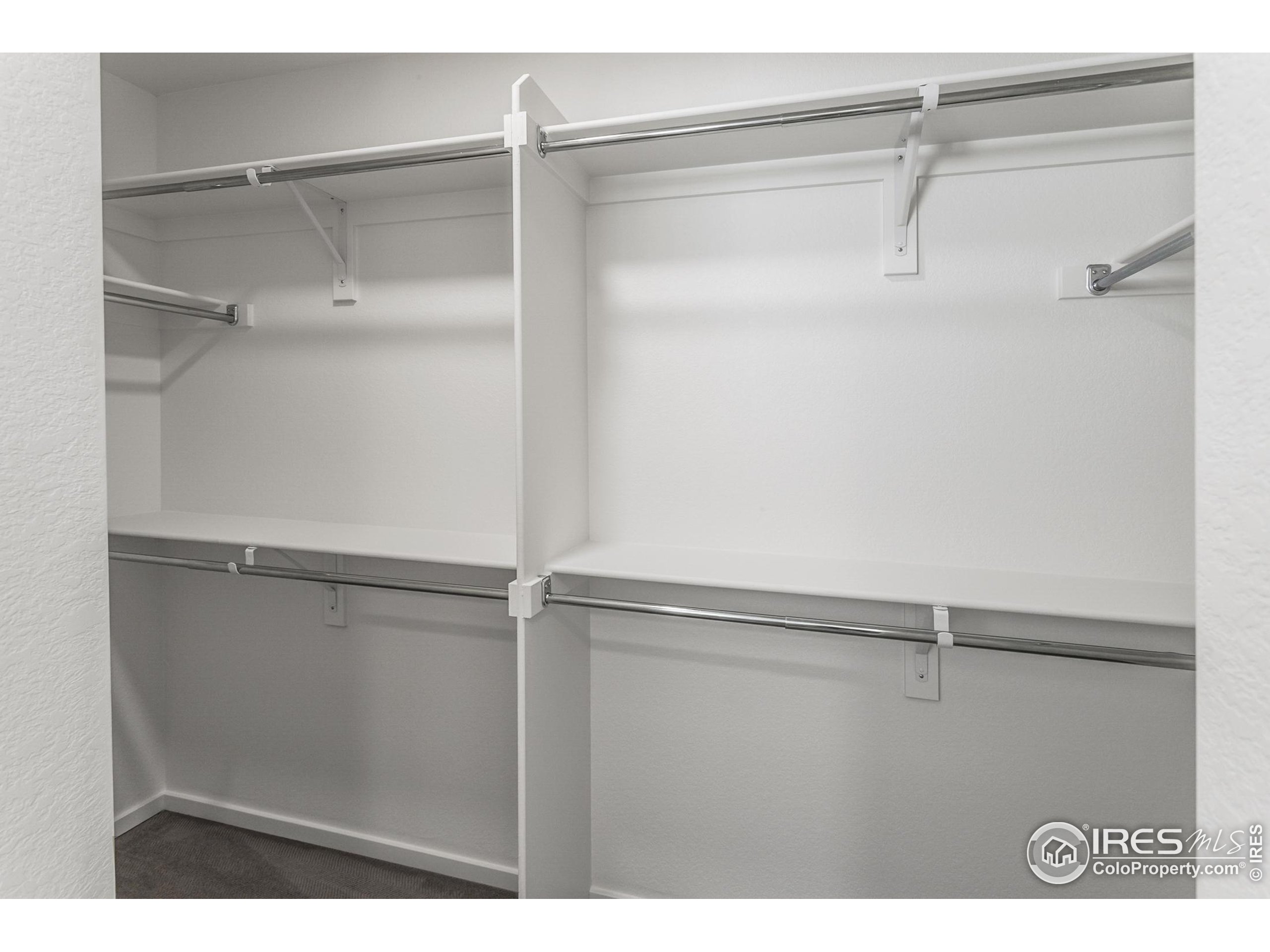 3248 Crusader Street Fort Collins, CO 80524 - Photo 32 of 38