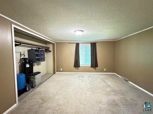 12 West St Louis River Road Esko, MN 55733 - Photo 11 of 20 Interior space featuring a textured ceiling and carpet flooring