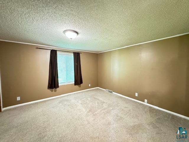 12 West St Louis River Road Esko, MN 55733 - Photo 12 of 20 Carpeted empty room featuring a textured ceiling