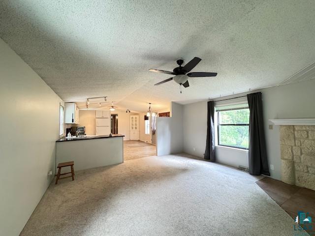 12 West St Louis River Road Esko, MN 55733 - Photo 9 of 20 Unfurnished living room with light colored carpet, ceiling fan, and a textured ceiling