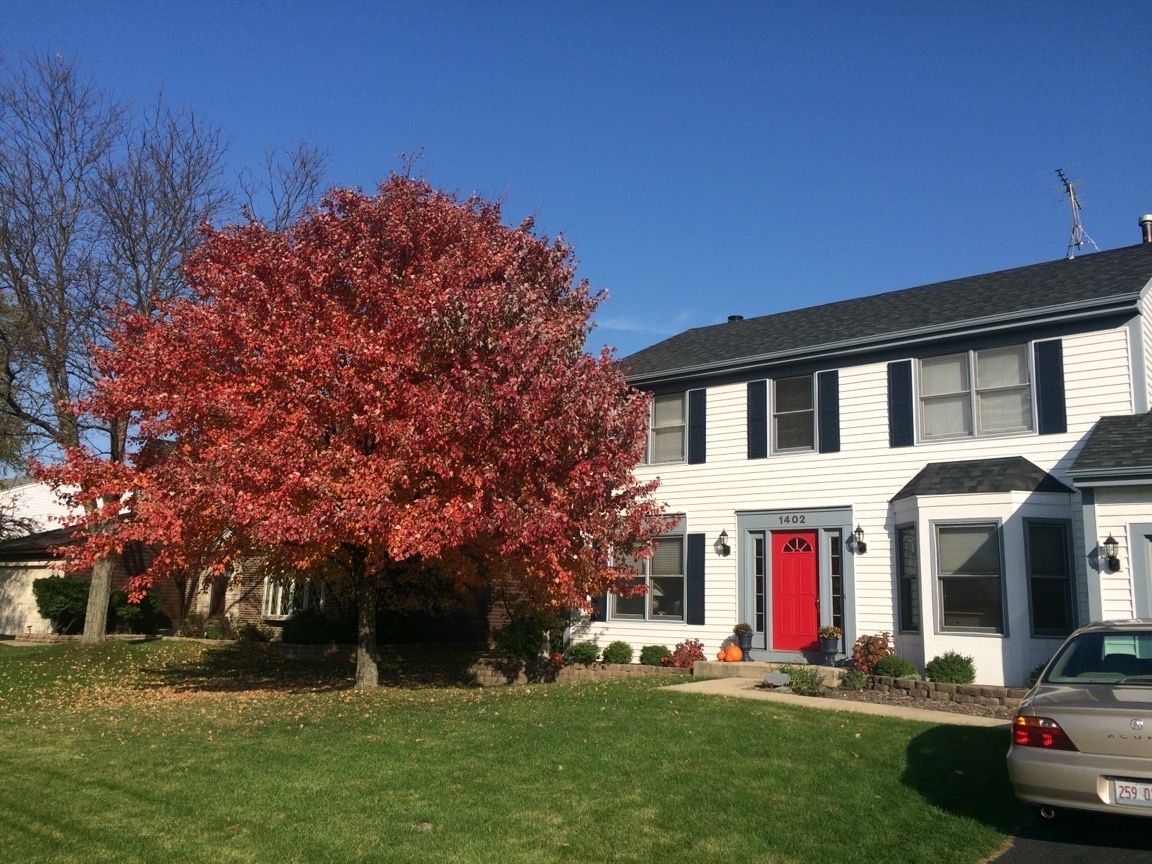 1402 Cherry Drive Batavia, IL 60510 - Photo 18 of 22 a front view of a house with a yard