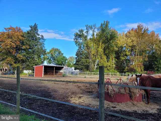 a view of empty space with trees