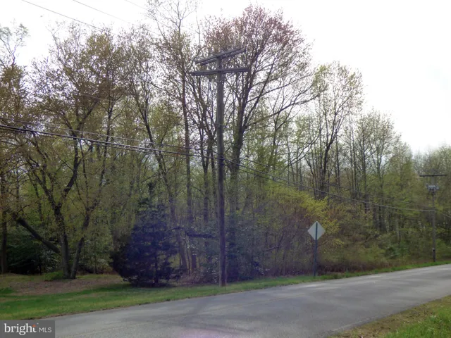 a view of a back yard