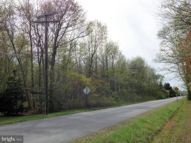 a view of a yard with a trees
