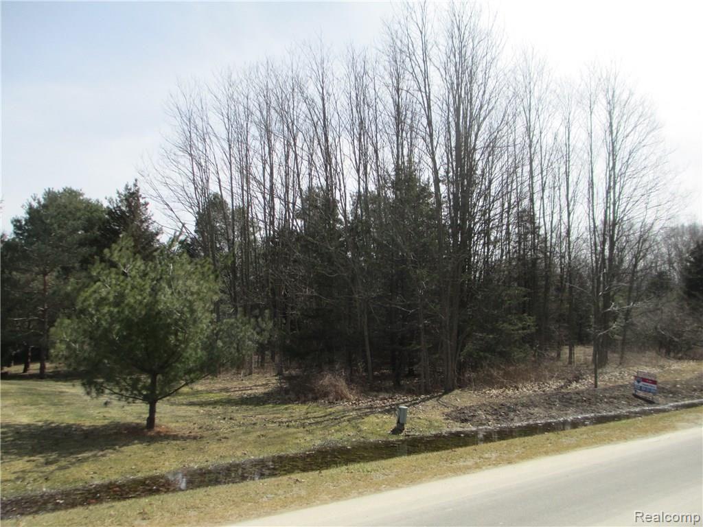 Parcel 1 Duffield Byron, MI 48418 - Photo 2 of 3