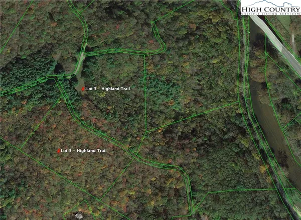 a view of a forest that has a tree