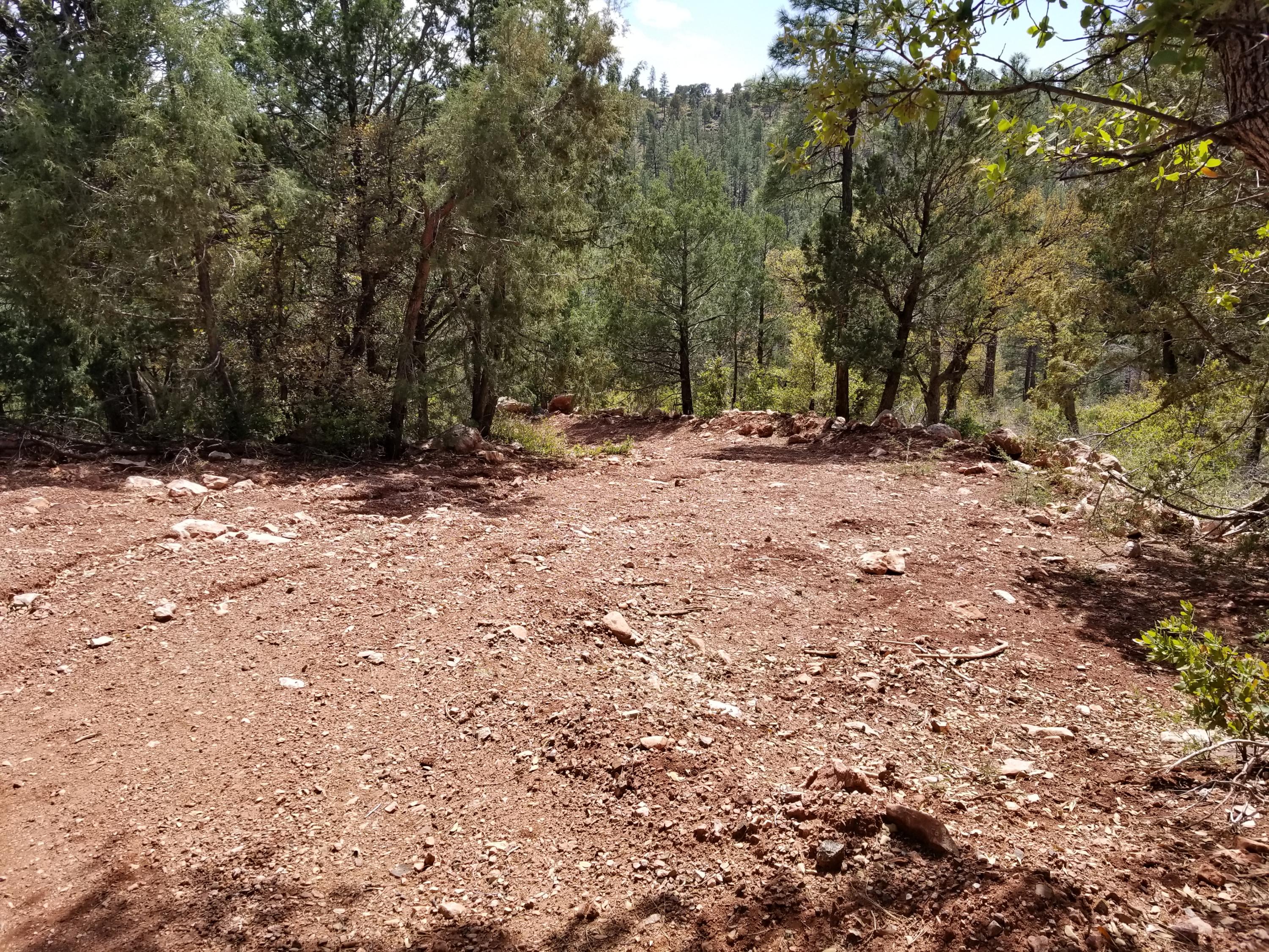 17033 Control Road Payson, AZ 85541 - Photo 13 of 28