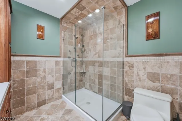 a bathroom with a shower and toilet