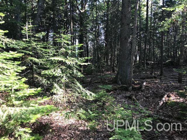 Tbd Gay Lac La Belle Road, Unit 3B Mohawk, MI 49950 - Photo 6 of 15