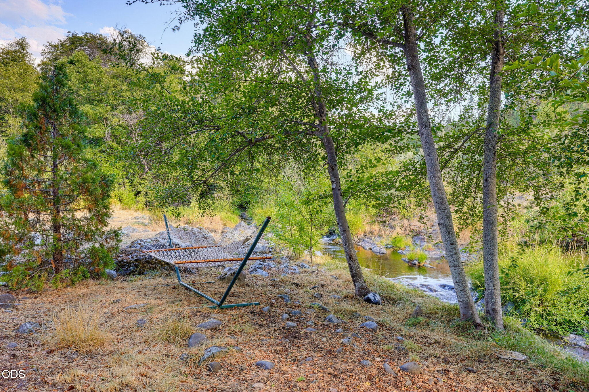 2459 Little Applegate Road Jacksonville, OR 97530 - Photo 64 of 86 a view of a park with large trees