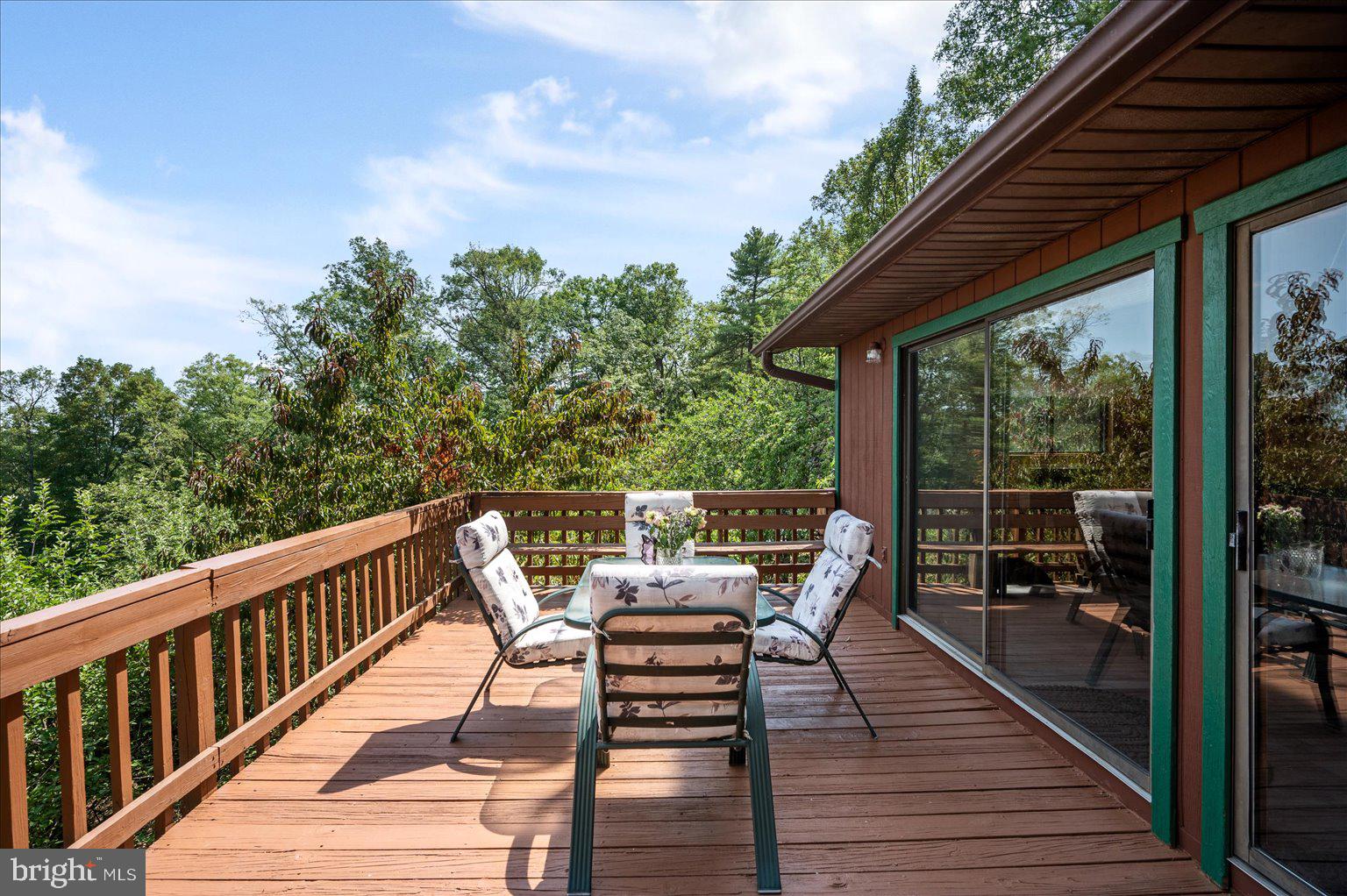 685 North Maple Road Mount Jackson, VA 22842 - Photo 33 of 64