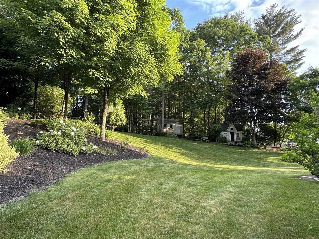 30 Edward Road Townsend, MA 01469 - Photo 31 of 42 a view of a trees in a yard