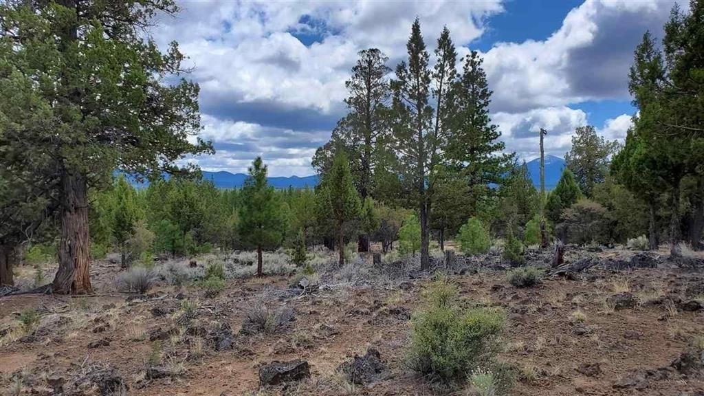 Robison Road Macdoel, CA 96058 - Photo 22 of 30 Gallery Image 22