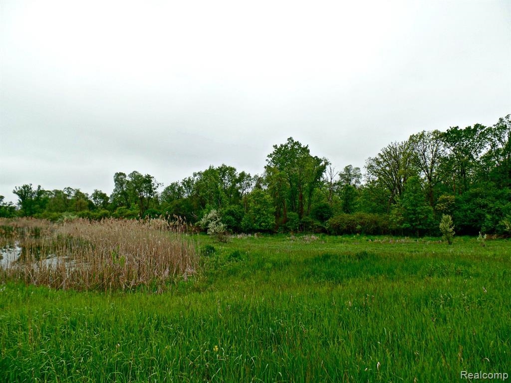 1605 East Newark Road Lapeer, MI 48446 - Photo 3 of 6