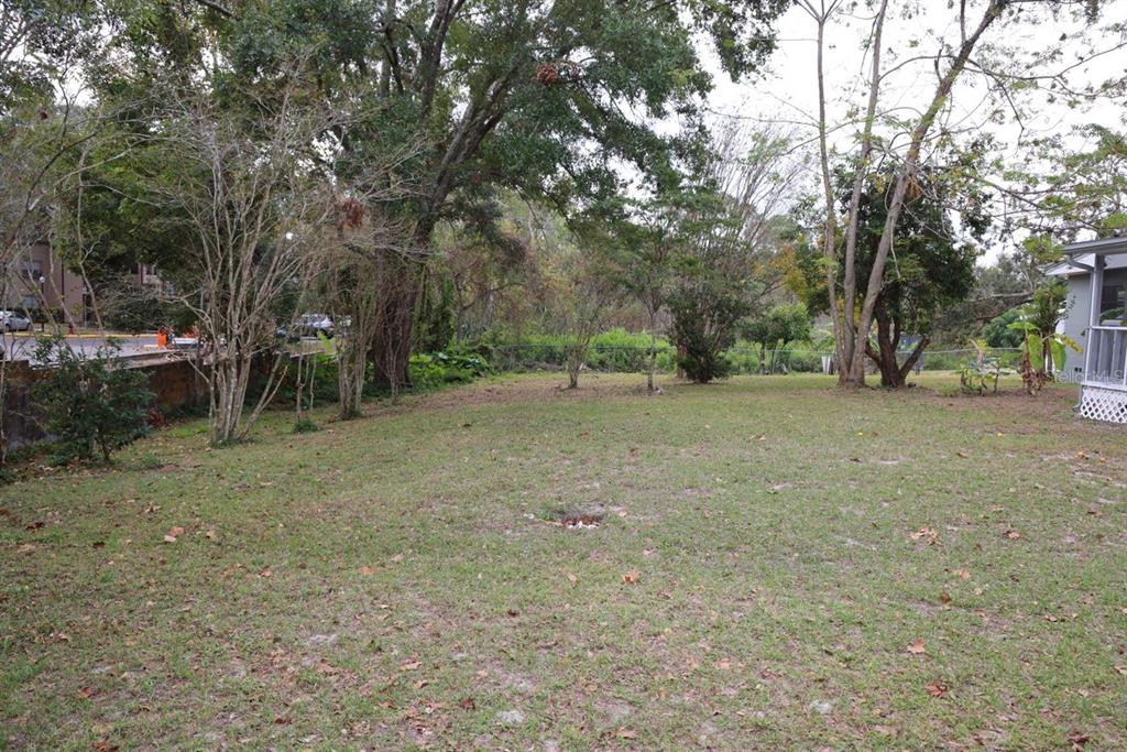 179 Alder Court Altamonte Springs, FL 32714 - Photo 51 of 77 a view of a yard with a tree