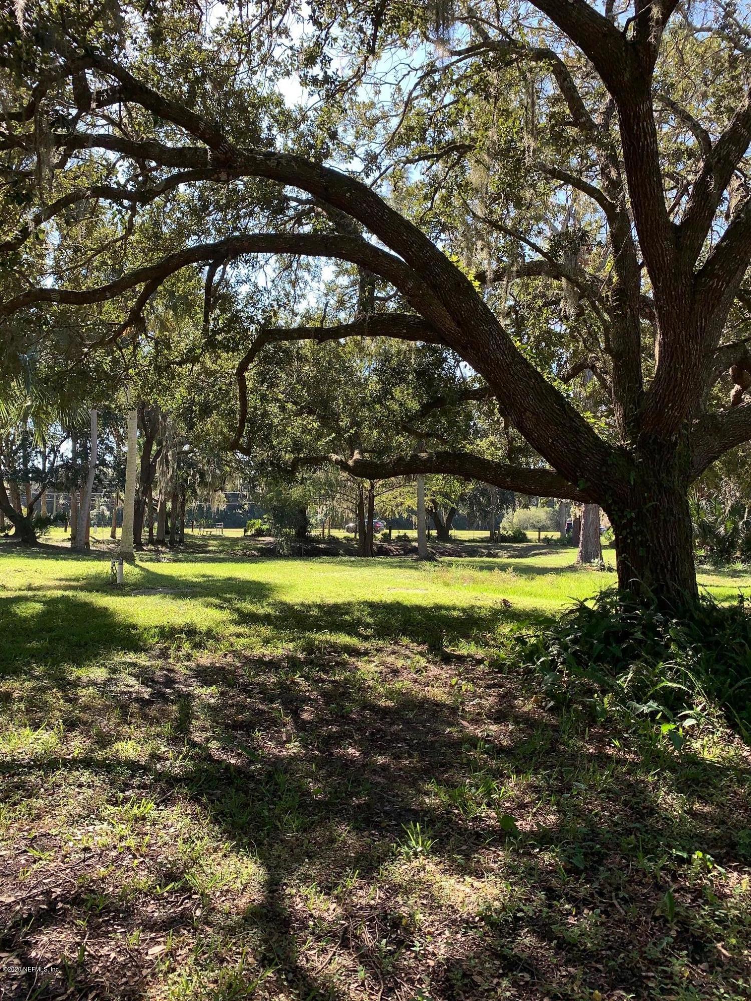 1418 Co Road Crescent City, FL 32112 - Photo 10 of 30 Beautiful yard