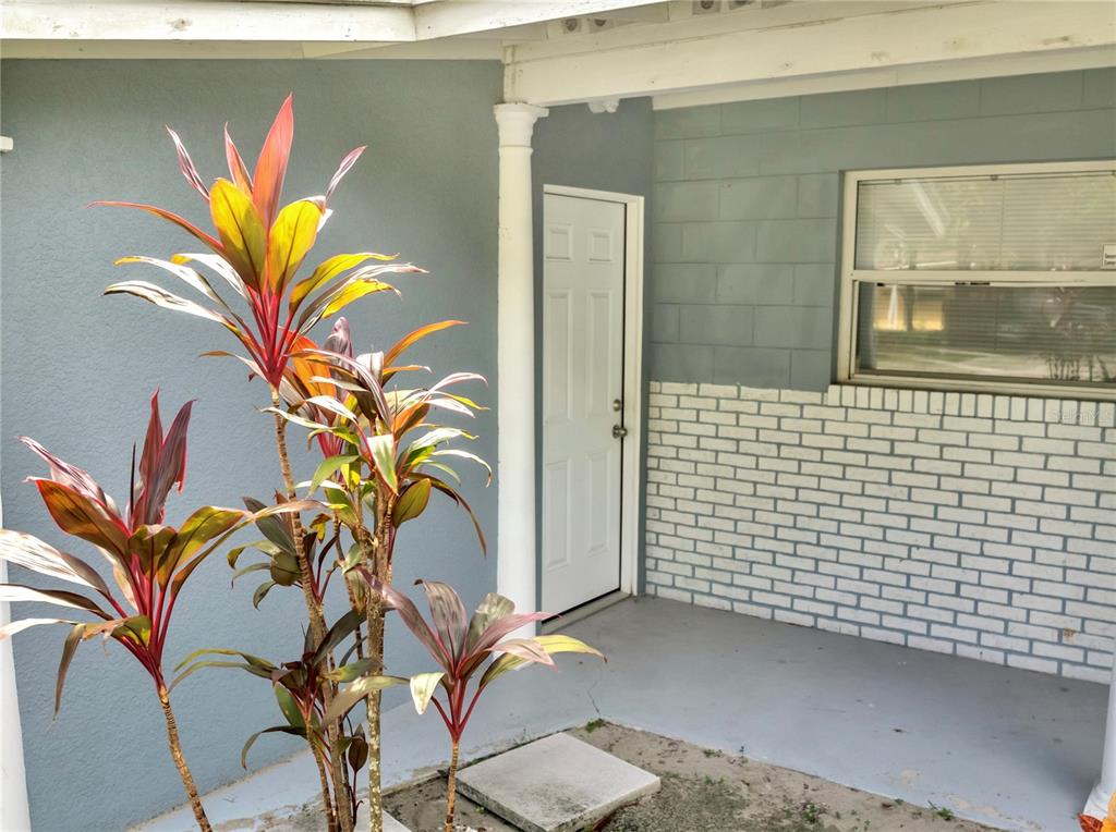 a view of a potted plant with a plant in front of a door