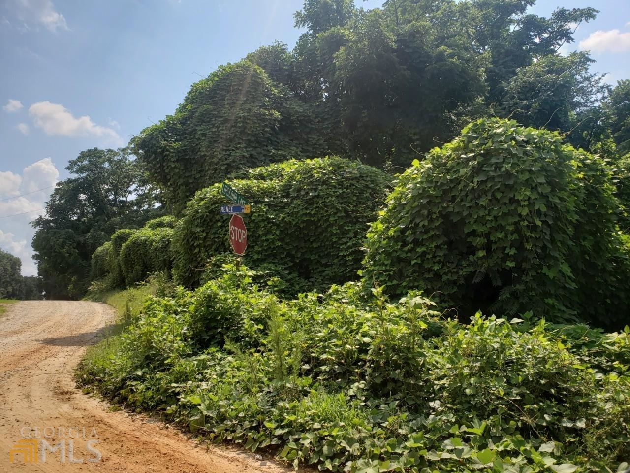 0 Lipscomb Lake Road Pendergrass, GA 30567 - Photo 1 of 1 a view of a garden