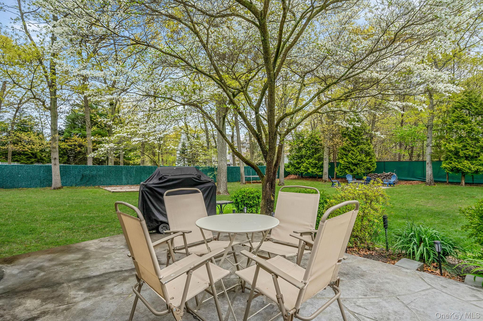 19 Pumpkin Road St. James, NY 11780 - Photo 31 of 35 a view of an chairs and table in the garden