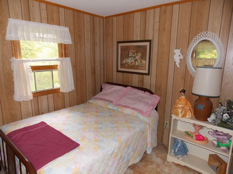 1275 Mt Elbert Road Northwest Riner, VA 24149 - Photo 27 of 35 DSCN9173 (800x600)