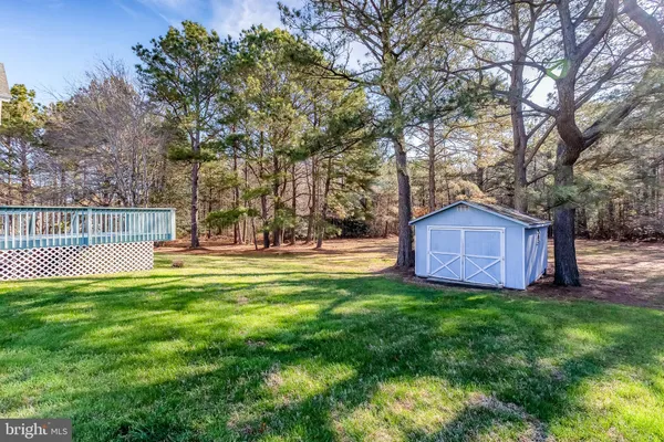 a view of a garden with large trees